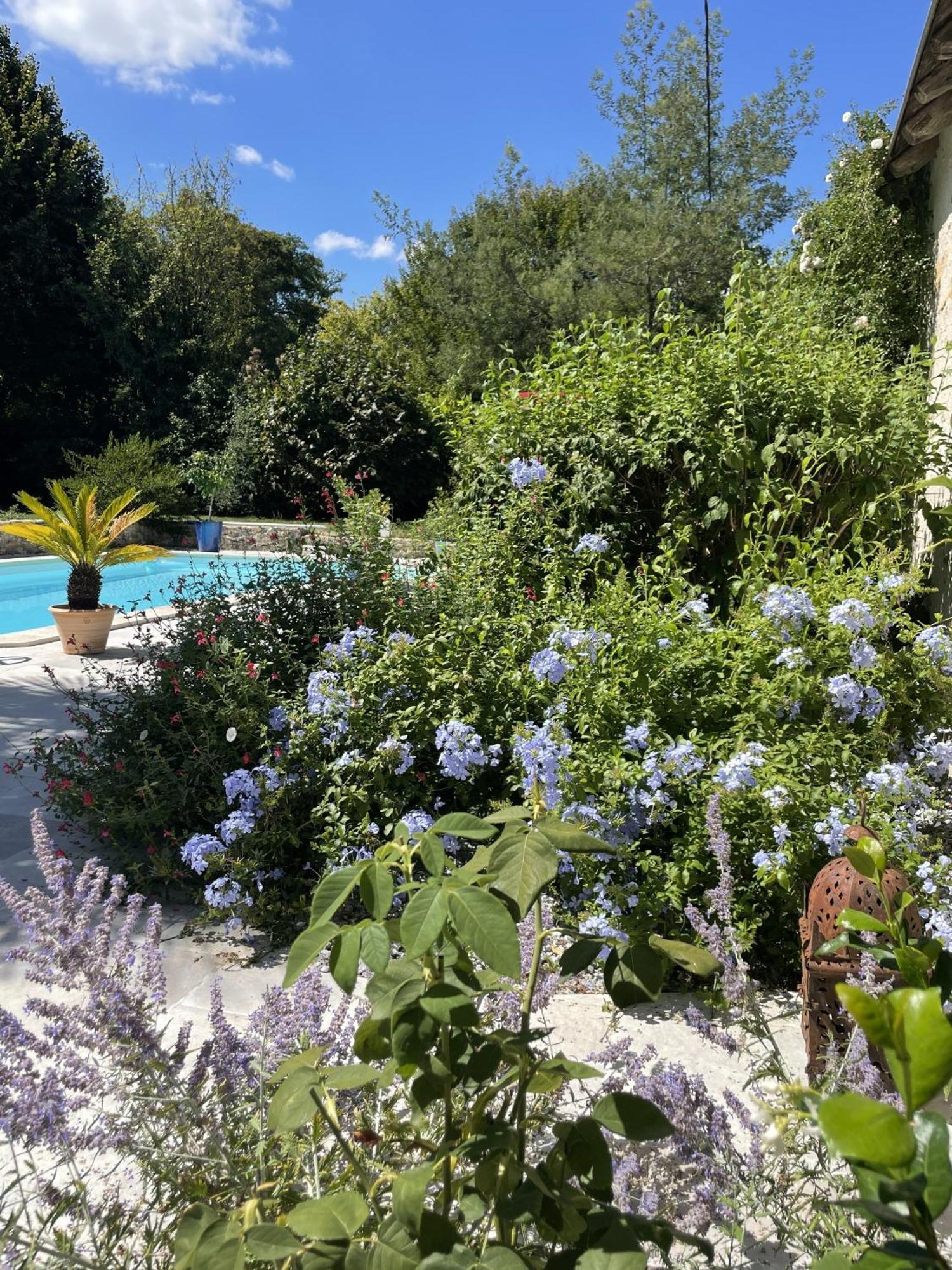 Villa Cassandre Esvres Zewnętrze zdjęcie